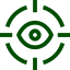 vision